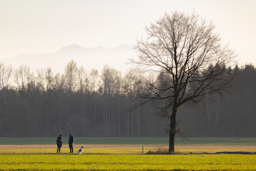 Lauteracherried im Jänner 86